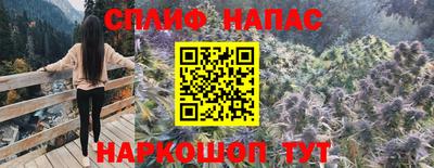 мдма Новодвинск