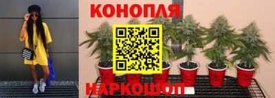 mdma Обь