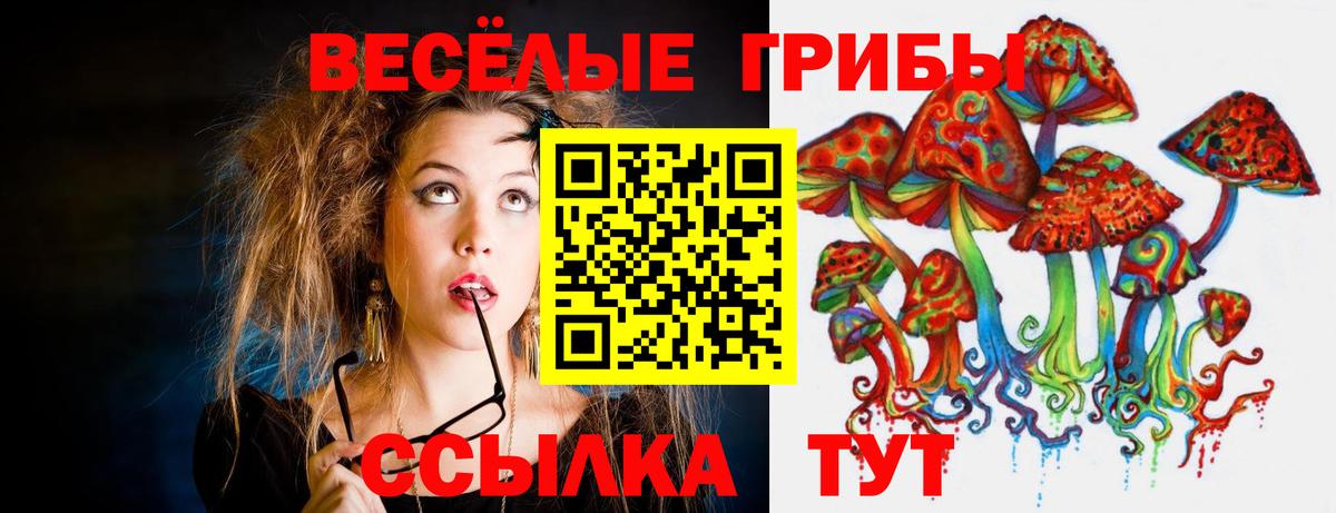 Соликамск  Галлюциногенные грибы ЛСД  Вход с VPN 