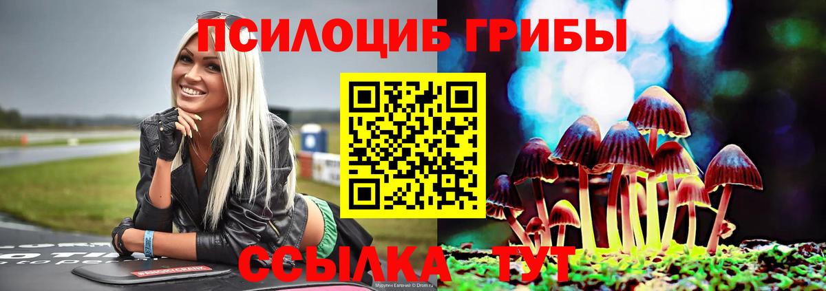 Псилоцибиновые грибы Psilocybine cubensis Соликамск